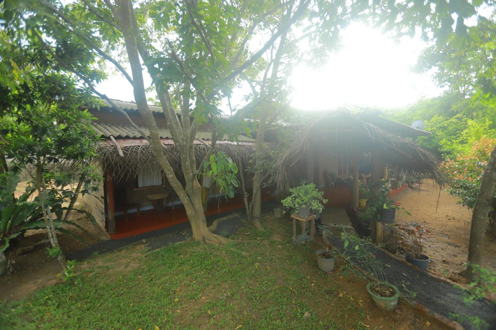 Dinna Nature Hostel Sigiriya Exterior foto